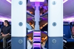 Air New Zealand Bunk Beds, Air New Zealand Bunk Beds 2026, air new zealand introduces bunk beds in economy flights, Air new zealand