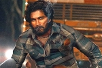 Pushpa first song, Pushpa breaking updates, allu arjun s pushpa first single loading, M n nambiar