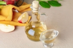 Apple Cider Vinegar, Apple Cider Vinegar, health benefits of apple cider vinegar, Bloating