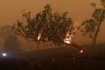 forest land, forest land, australia fires warnings of huge blazes ahead despite raining, Gta 5