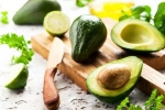 Avocado breaking, Avocado disadvantages, add avocado in your diet to lose weight, Obese