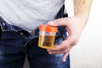 Hidden Kidney Cancer Risks latest, Hidden Kidney Cancer Risks tips, spotting blood in urine can reveal hidden kidney cancer risks, Hidden