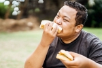 Bread for weightloss health benefits, Bread for weightloss, will bread help in weightloss, Chemical