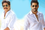 Bangarraju trailer, Naga Chaitanya, ten days worldwide collections of bangarraju, Soggade chinni nayana