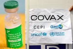 Indian government, COVAX news, sii to resume covishield supply to covax, Covax