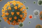 Delta plus, Delta plus symptoms, all you need to know about the new delta plus variant of coronavirus, Cocktail