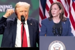 Donald Trump, Donald Trump Vs Kamala Harris news, donald trump calls kamala harris is married to a jewish man, Judges