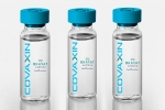Covaxin, EUL for Covaxin updates, who delays the eul decision on covaxin, Covax
