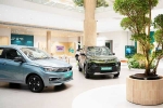 Car Sales September 2024 breaking, September 2024 car sales, electric car and suv sales reach lowest in september 2024, Bmw