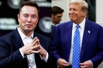 Donald Trump, Elon Musk and Donald Trump breaking, elon musk s big bet on donald trump, Federal judge