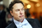 Elon Musk India visit breaking, Elon Musk India visit delayed, elon musk s india visit delayed, Eat