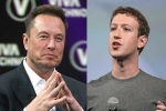 Elon Musk, Elon Musk Vs Mark Zuckerberg, elon musk vs mark zuckerberg rivalry, Walrus