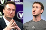 Elon Musk and Mark Zuckerberg war, Elon Musk, elon vs zuckerberg mma fight ahead, Brazil