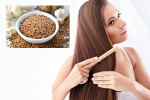 Flaxseeds hair health, Flaxseeds hair health, how flaxseeds can help for a long and healthy hair, Store