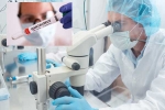 Hantavirus Scientists breaking, Hantavirus Scientists updates, hantavirus scientists were close to vaccine, Hantavirus scientists