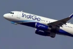 Central Asian cities Indigo Flights latest breaking, Central Asian cities Indigo Flights scheduled, indigo cancels flights to central asian cities till feb 11th, Things