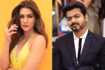 Kriti Sanon next movie, Kriti Sanon, kriti sanon to romance vijay in his next, 1 nenokkadine