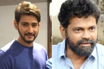 Anil Ravipudi, Mahesh Babu twitter, mahesh babu shelves sukumar s project, 1 nenokkadine