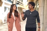 Manmadhudu 2 review, Manmadhudu 2 review, manmadhudu 2 movie review rating story cast and crew, Avanthika