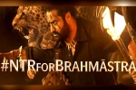 NTR, Ayan Mukerji, ntr turns chief guest for brahmastra event, Brahmastra event