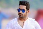 NTR latest, NTR next film, ntr s jai lava kusa updates, Nannaku prematho