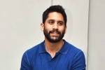 Naga Chaitanya upcoming movies, Naga Chaitanya updates, change of plans for naga chaitanya, Romantic comedy