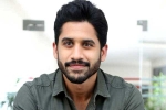 Naga Chaitanya upcoming projects, Naga Chaitanya films, naga chaitanya coming up with a strong lineup of films, Soggade chinni nayana