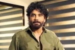 Nagarjuna Personal Rights updates, Nagarjuna Personal Rights new updates, delhi high on nagarjuna s personal rights, Isha