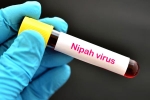 Nipah Virus first case, suspected Nipah Virus, nipah virus is back again two deaths registered, World health organization