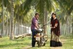 Katamrayudu release date, Shruti Haasan, no audio launch for katamrayudu, Shruthi