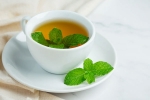 Peppermint Tea latest update, Peppermint Tea news, what happens when you drink peppermint tea every night, Breathing Peppermint Tea latest update, Peppermint Tea news, what happens when you drink peppermint tea every night, Breathing