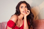 Pooja Hegde news, Pooja Hegde updates, pooja hegde in talks for a biggie, Ssmb28