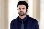 Prabhas upcoming movie, Prabhas new movie title, new updates of prabhas and maruthi film, Boman irani