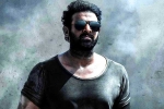 Prabhas news, Prithviraj Sukumaran Telugu film, prabhas salaar to have malayalam star, Shruthi