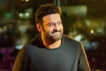 Prabhas movie updates, Prabhas updates, prabhas back to the sets of salaar, Indian actors