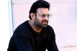 Prabhas25 latest updates, Sandeep Vanga, prabhas to offer a new treat for his fans, Prabhas25