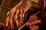 Allu Arjun, Pushpa: The Rule song, allu arjun s dedication for pushpa the rule, Anasuya Allu Arjun, Pushpa: The Rule song, allu arjun s dedication for pushpa the rule, Anasuya