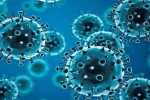 Coronavirus USA, R.1 Coronavirus breaking updates, r 1 variant of coronavirus traced in 35 countries, Coronavirus usa