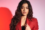 Rashmika and Manager, Rashmika and Manager issue, rashmika mandanna clears air, Animal film