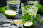 Virgin mojito, non- alcoholic, recipe of virgin mojito, Saucepan Virgin mojito, non- alcoholic, recipe of virgin mojito, Saucepan
