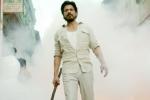 Raees trailer news, Raees release date, srk s raees trailer release date, Raees trailer