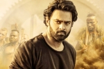 Saaho latest, Saaho, saaho first week telugu collections, Evelyn sharma