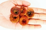 Soaked Anjeer health benefits, Soaked Anjeer latest breaking, can you take soaked anjeer every day, Bangalore