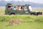 South African Safari Trip total video, South African Safari Trip total days, how to plan your south african safari trip, Ott