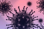 Omicron impact, Omicron news, south african scientists about omicron variant, Omicron symptoms