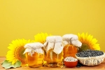 Sunflower Oil benefits, Sunflower Oil long term effects, long term effects of consuming sunflower oil on heart health, Products