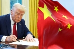 Trump for Chinese students updates, Trump for Chinese students 6 lakhs, trump opens us doors to 6 lakh chinese students, Fail