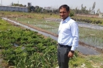 agriculture, waste decomposer online, this u s return mba graduate is transforming a village barren land into an organic farming facility, Post graduate