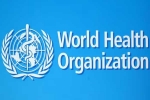 USA WHO latest updates, USA, usa withdraws from world health organization, Health risks
