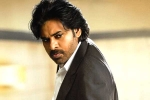 Vakeel Saab updates, Vakeel Saab updates, vakeel saab first day collections, Nivetha thomas